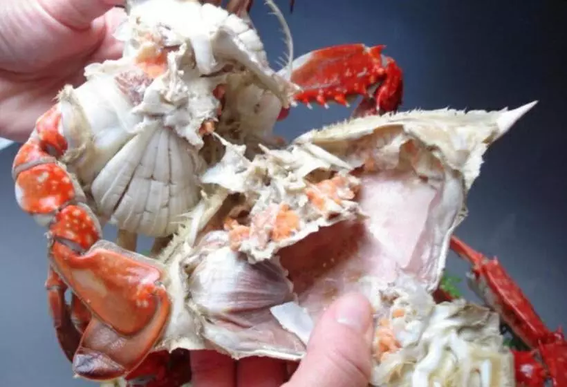 Majatalo オーベルジュ美の浜 流石