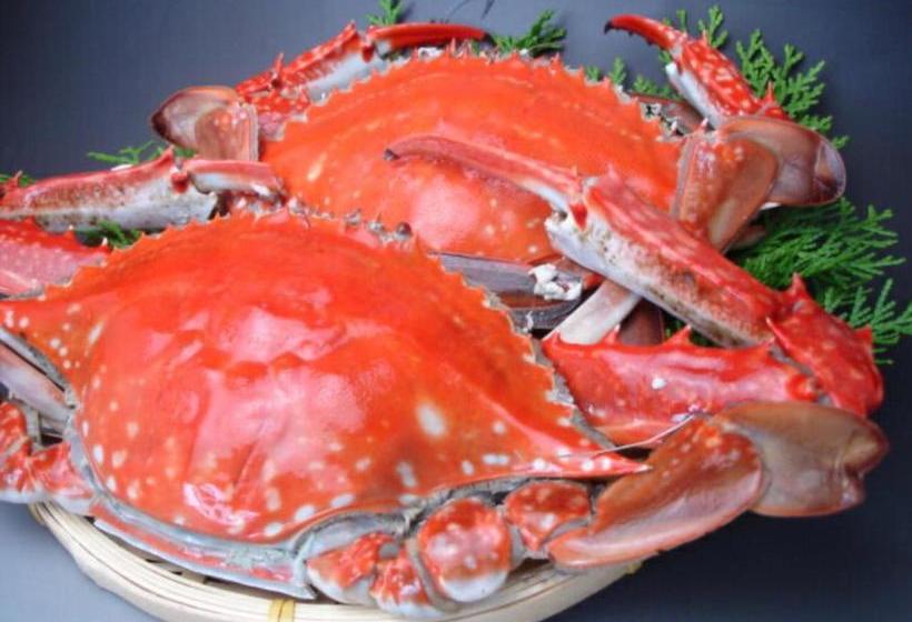 Пансион オーベルジュ美の浜 流石