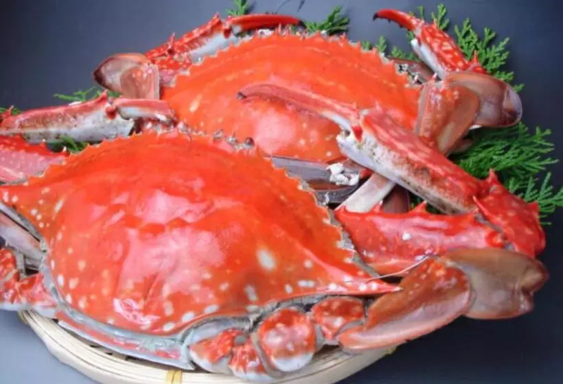 Majatalo オーベルジュ美の浜 流石