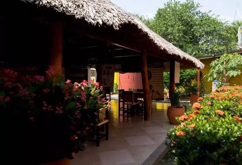 ユースホステル Hostal Cultural El Telar
