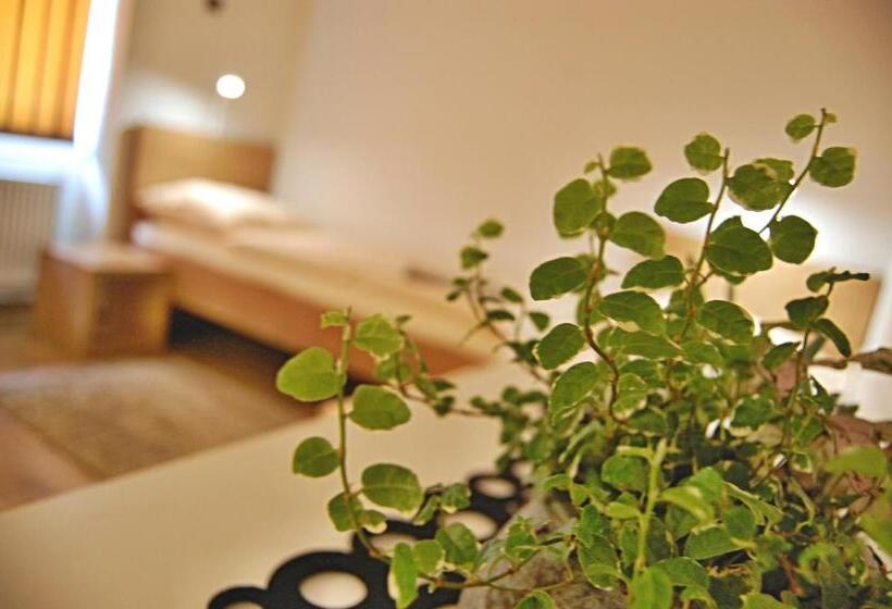 旅馆 Penzion Pod Kaštanem