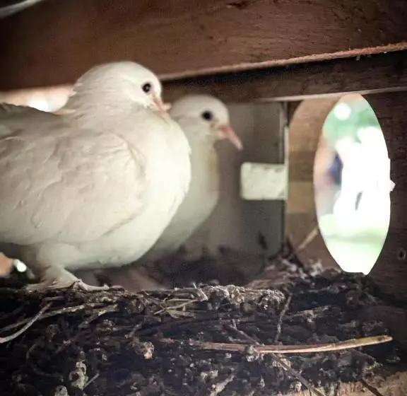Aamiaismajoitus (B&B) Le Relais Du Doubs En Bourgogne