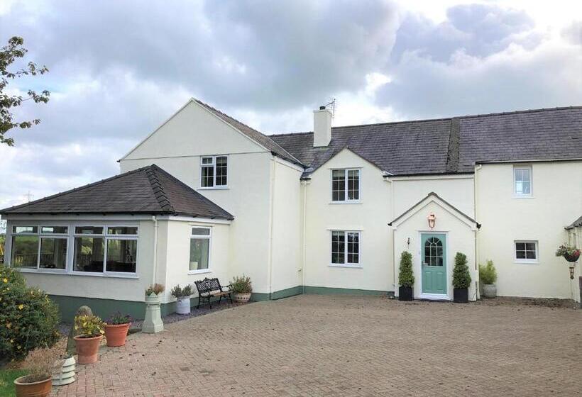 Frongaer Bed And Breakfast