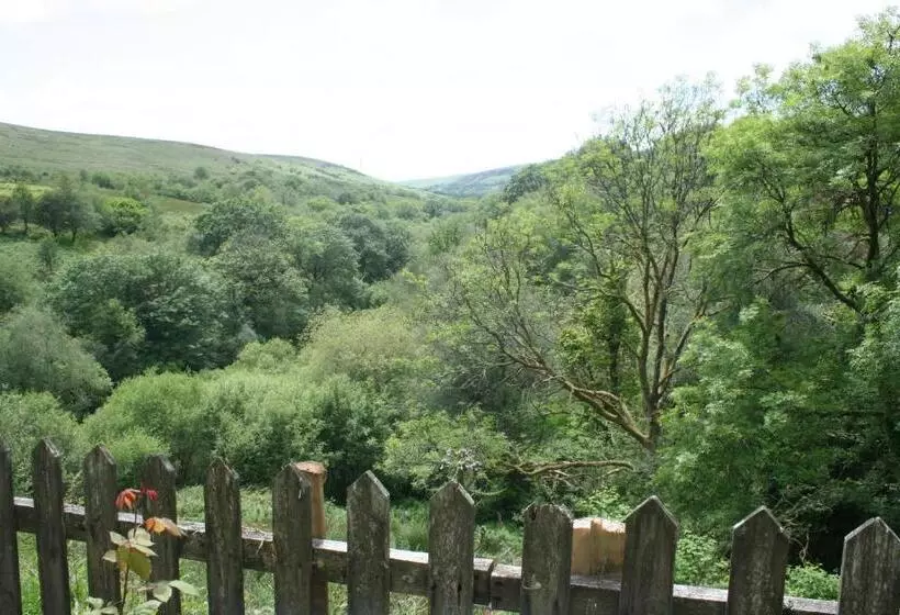 هتل Coynant Farm Guesthouse Farm Park Stay