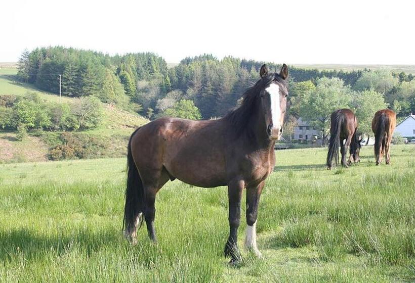 هتل Coynant Farm Guesthouse   Farm Park Stay