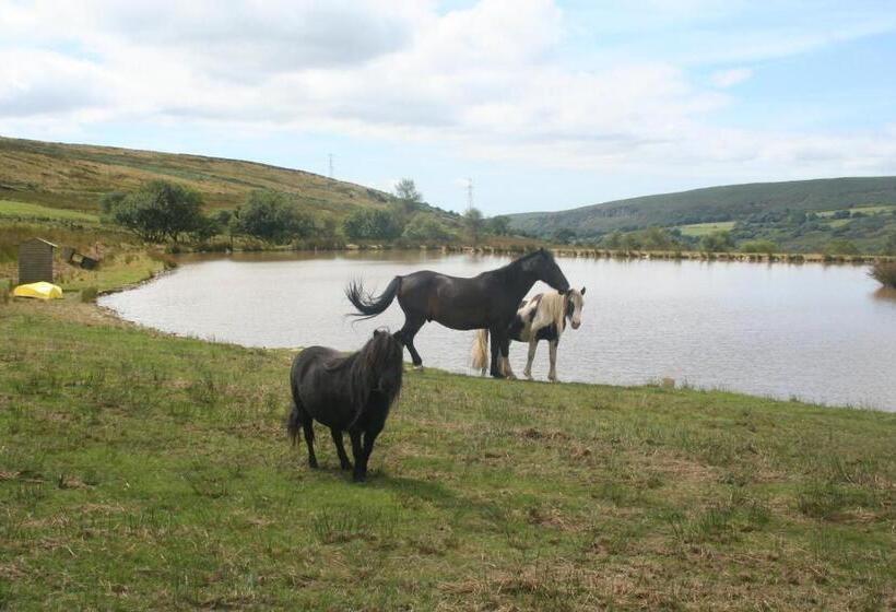 هتل Coynant Farm Guesthouse   Farm Park Stay