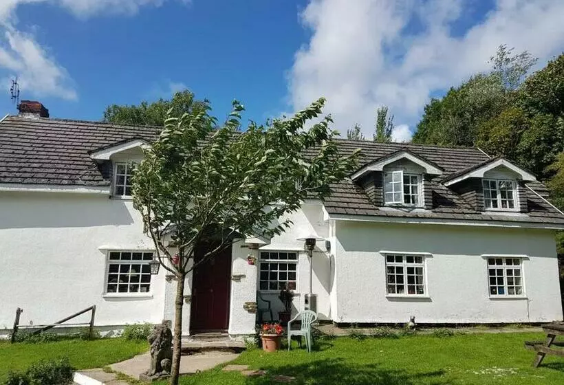 هتل Coynant Farm Guesthouse Farm Park Stay