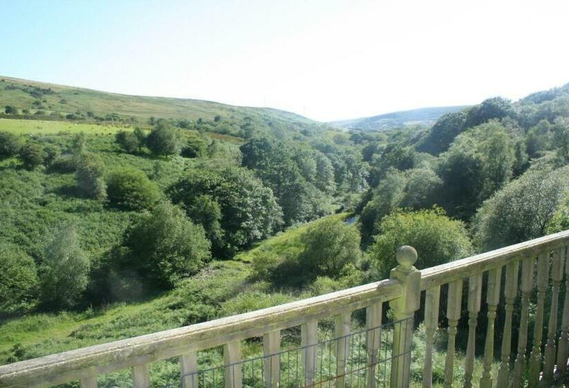 هتل Coynant Farm Guesthouse   Farm Park Stay