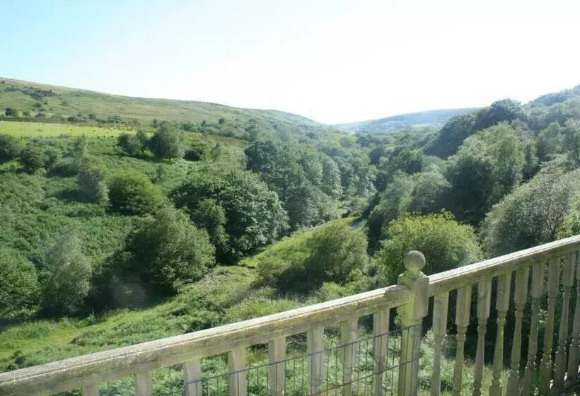 هتل Coynant Farm Guesthouse Farm Park Stay