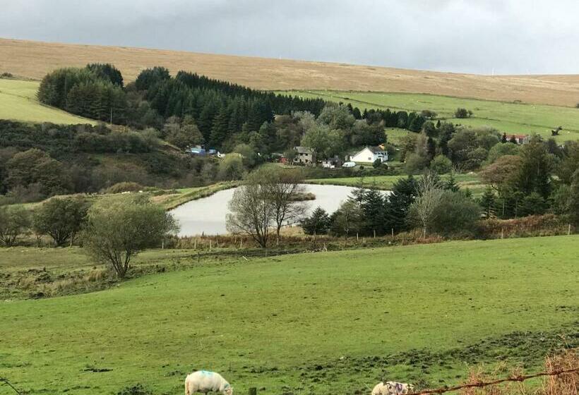 هتل Coynant Farm Guesthouse   Farm Park Stay