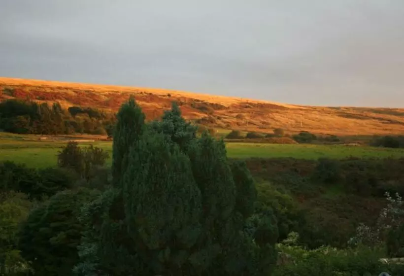 هتل Coynant Farm Guesthouse Farm Park Stay
