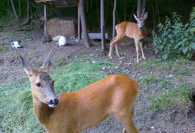 Hotel Karpatska Forel