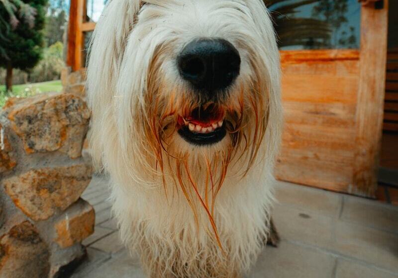 Отель Killary Lodge