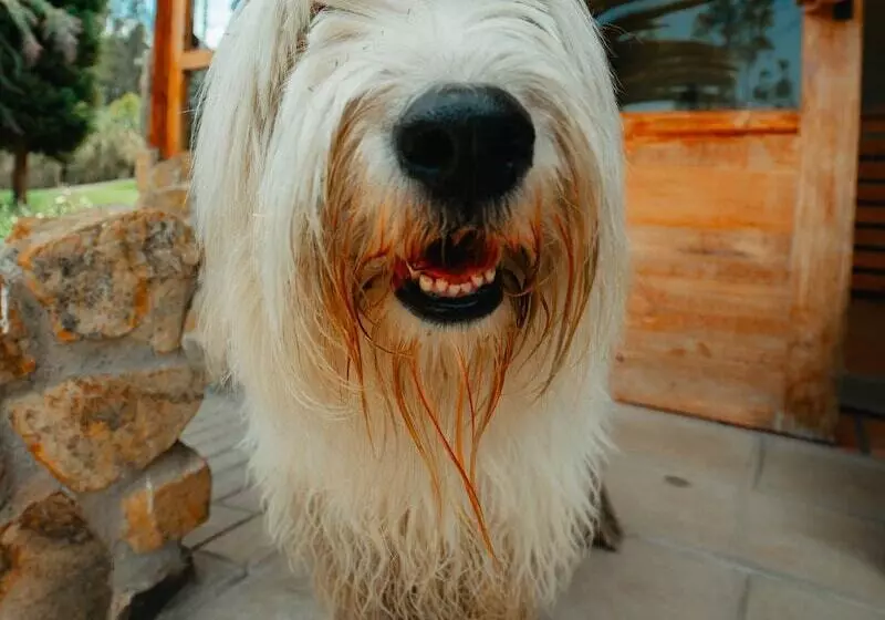 Hotelli Killary Lodge