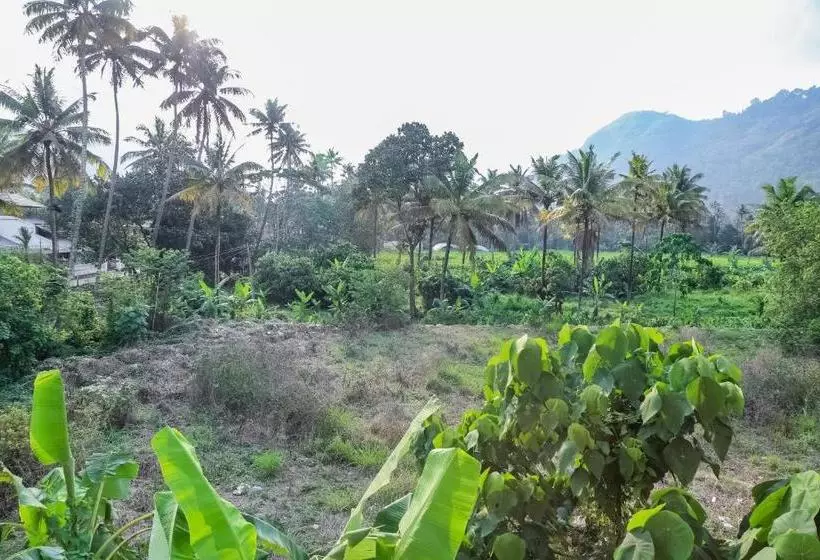 Hotelli Oyo 23388 Fathima Residency