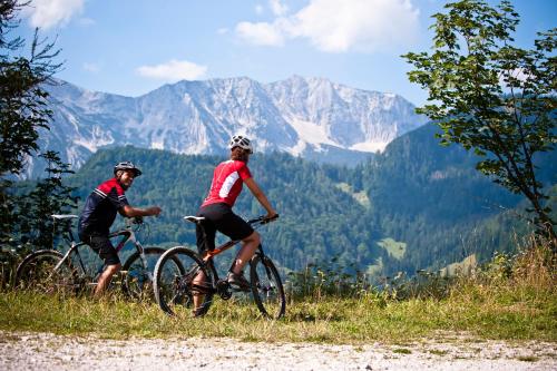 Patrix Hotel, Restaurant, Bar