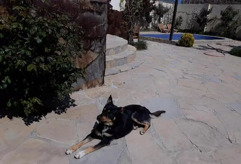 Majatalo Baku Black Mountain Guest House