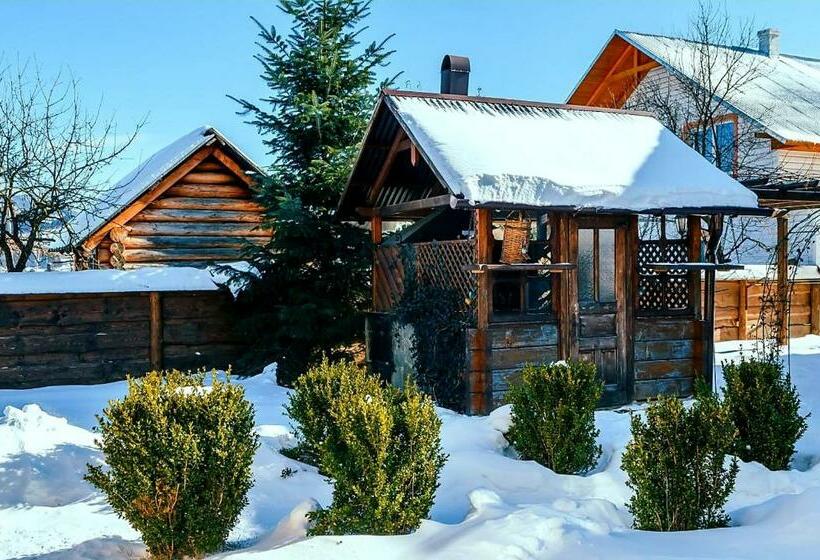 بنسيون Krokus House