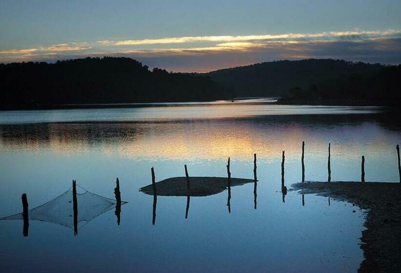 膳宿费 Merlin Les Pieds Dans L Eau