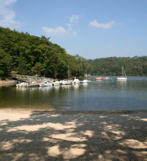 膳宿费 Merlin Les Pieds Dans L Eau