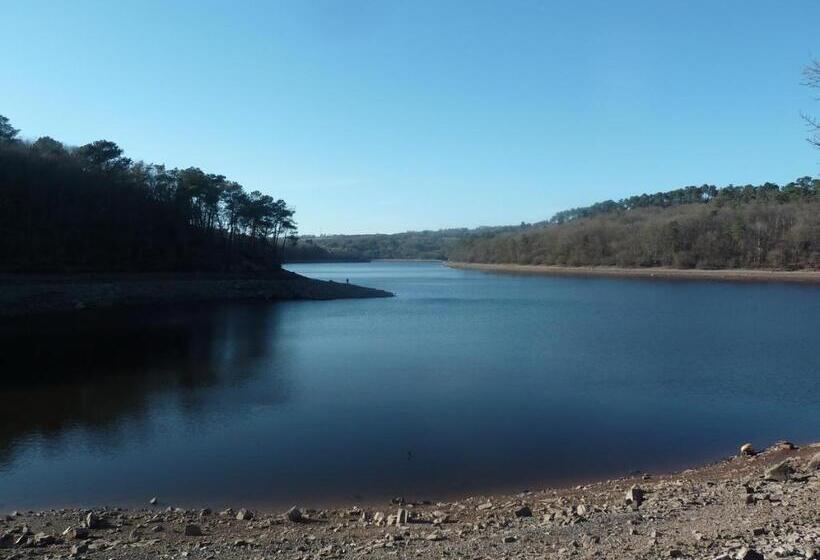 膳宿费 Merlin Les Pieds Dans L Eau