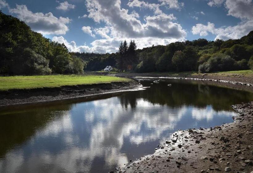 膳宿费 Merlin Les Pieds Dans L Eau