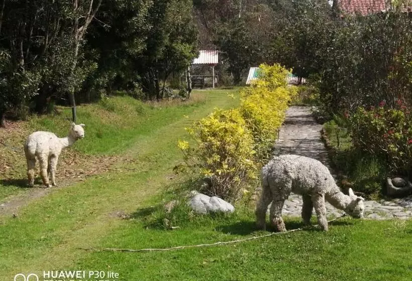 Aamiaismajoitus (B&B) Hostal El Vaquero