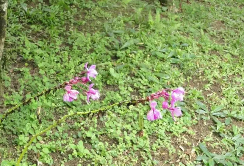 Hotelli La Casona   San Luis