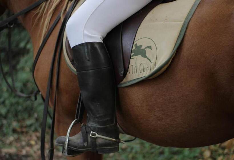 فندق Hacienda Santa Clara