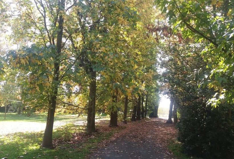 فندق Hacienda Santa Clara