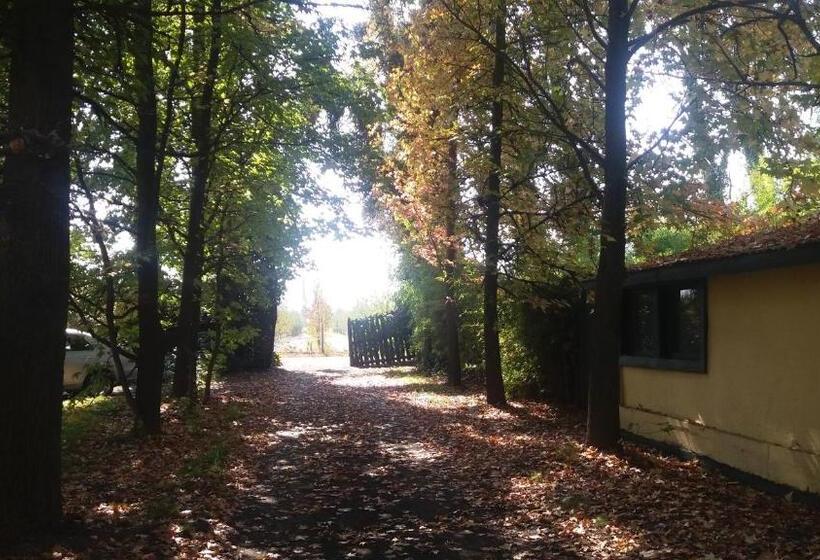 فندق Hacienda Santa Clara