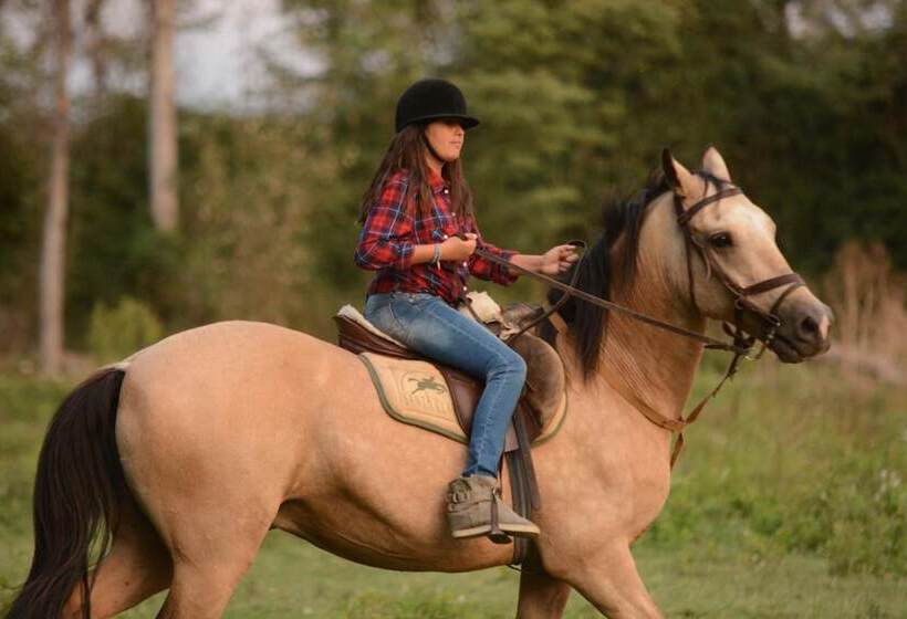 فندق Hacienda Santa Clara