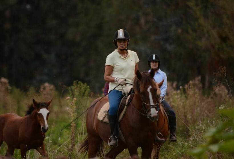 فندق Hacienda Santa Clara