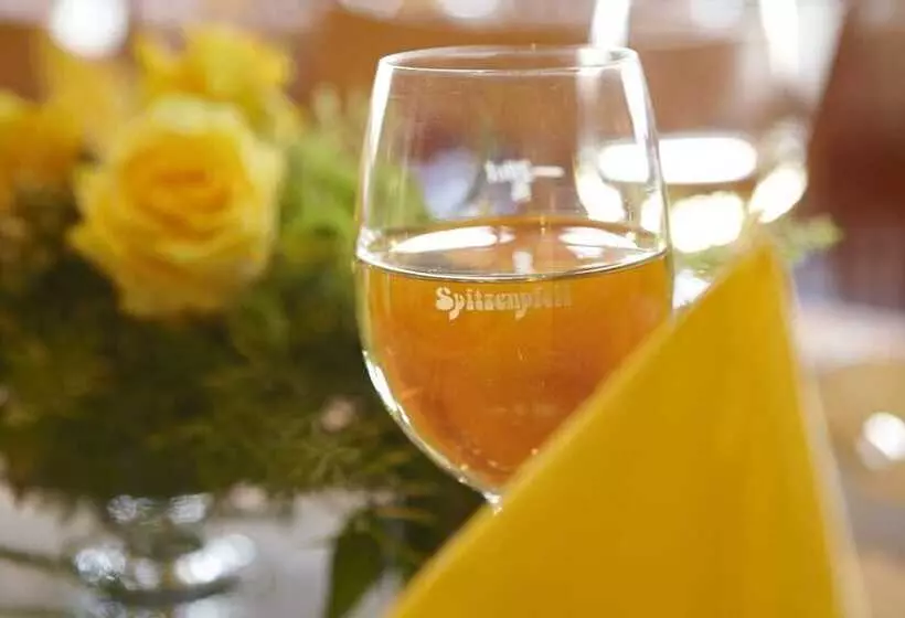 Hotelli Spitzenpfeil