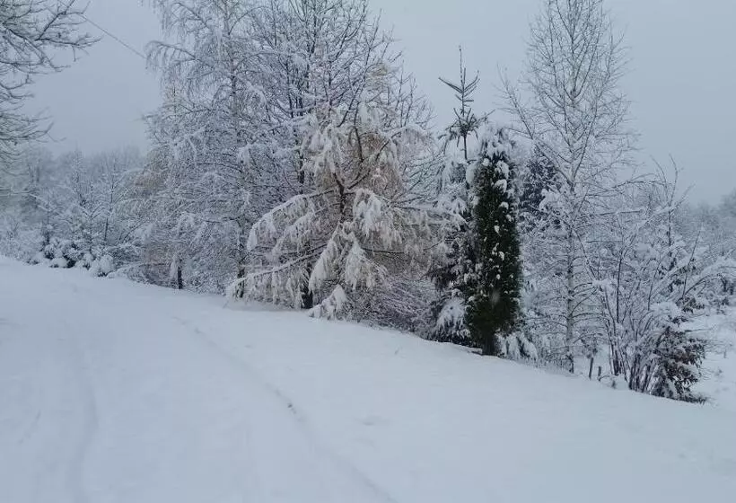 Majatalo Fazenda Kosiv