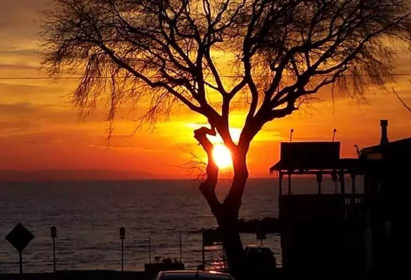 Balm Beach Resort & Motel