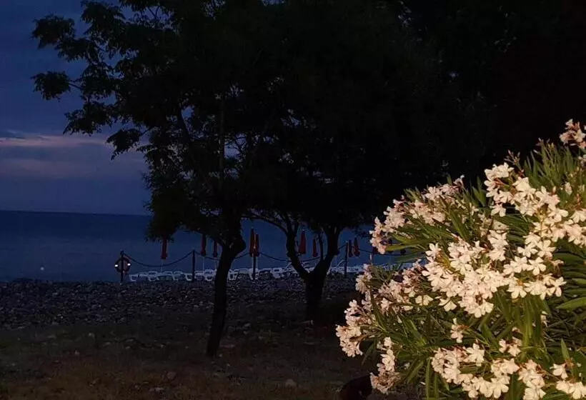 Bed And Breakfast Marilena