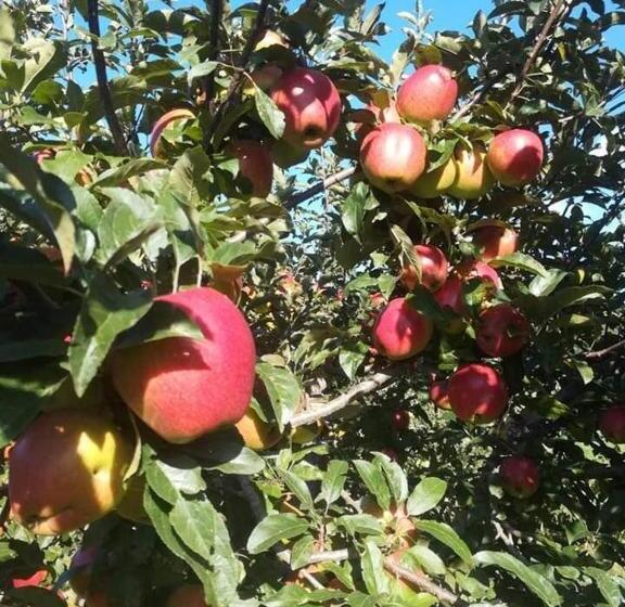 호텔 Agriturismo La Gemma Del Parco