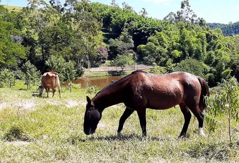 ホテル Fazendão