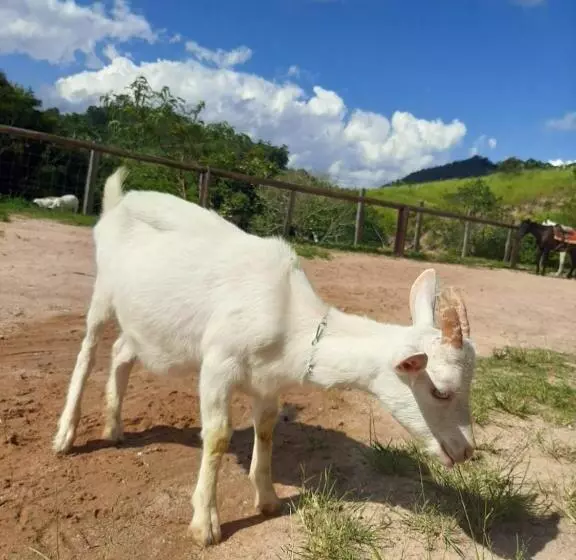 ホテル Fazendão