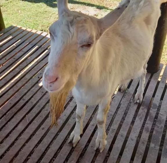 ホテル Fazendão