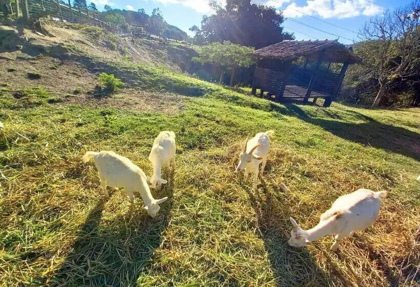ホテル Fazendão