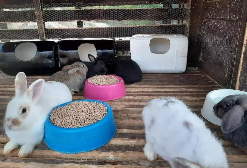 ホテル Fazendão