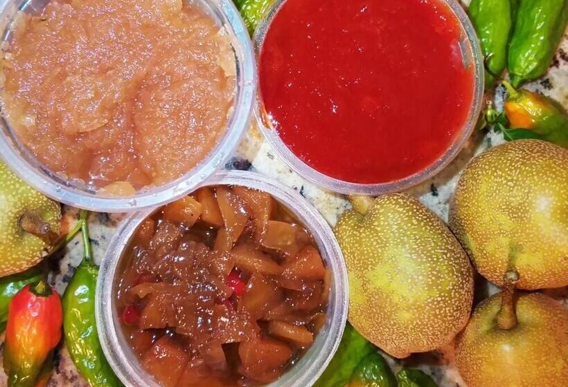 酒店 Pousada Caminho Dos Ipês