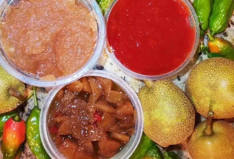 ホテル Pousada Caminho Dos Ipês