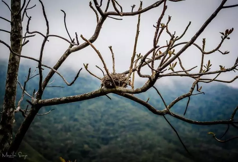 ホテル Pousada Caminho Dos Ipês