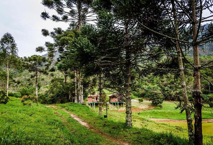 酒店 Pousada Caminho Dos Ipês