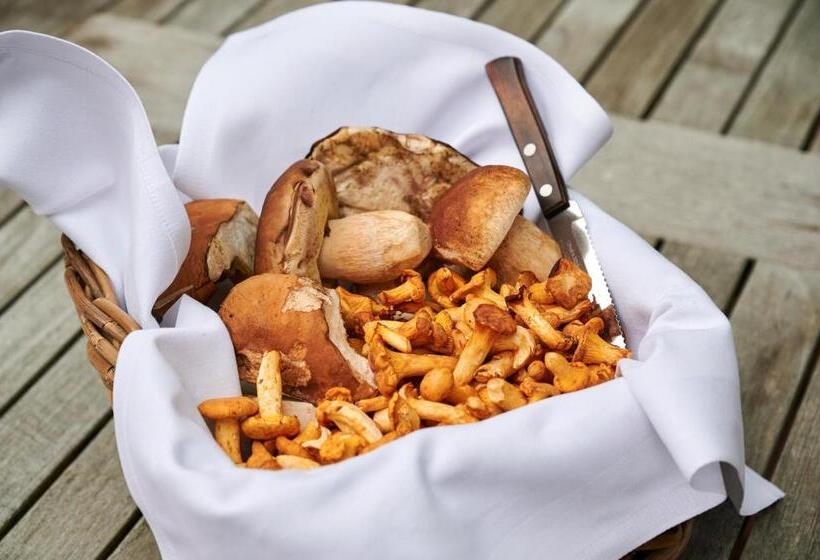 בית מלון כפרי & Restaurant Linde