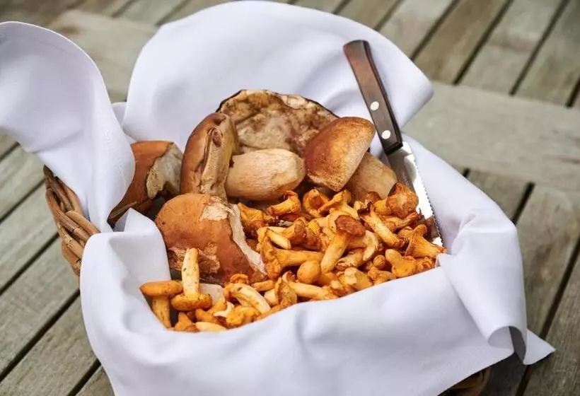 Hotelli & Restaurant Linde