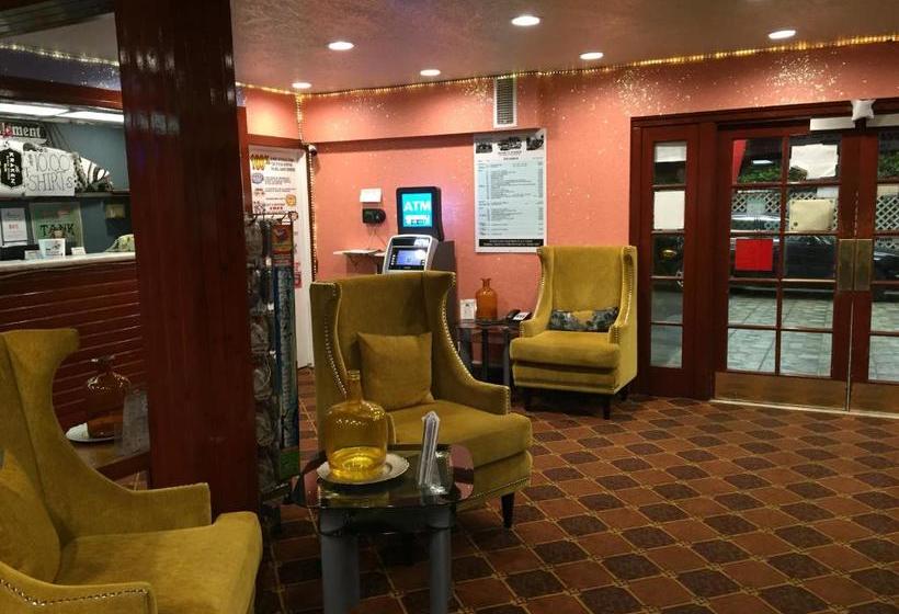 فندق على الطريق Tradewinds Airport